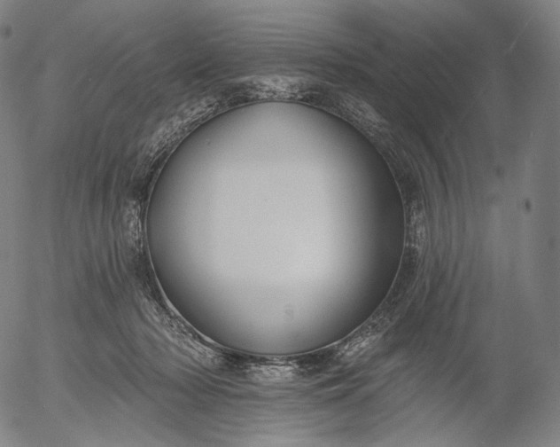 X0000055990318200509021645