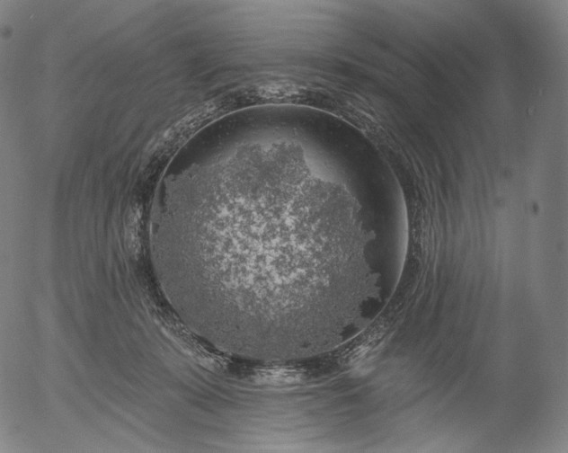 X0000055990319200509021645