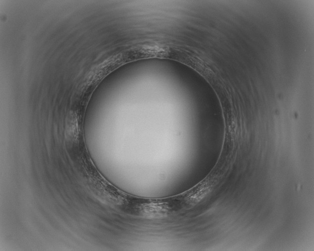 X0000055990320200509021645