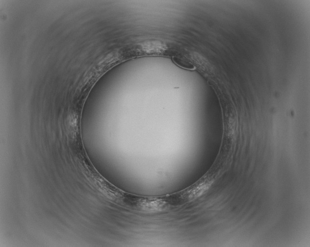 X0000055990321200509021645