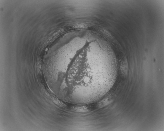 X0000055990322200509021645