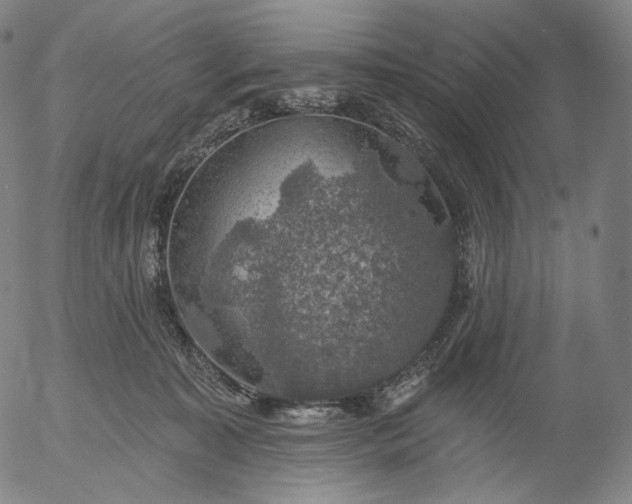 X0000055990323200509021645