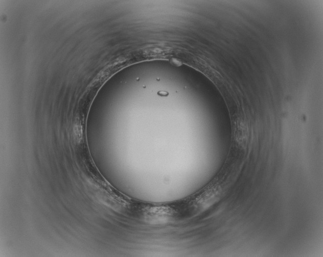 X0000055990324200509021645