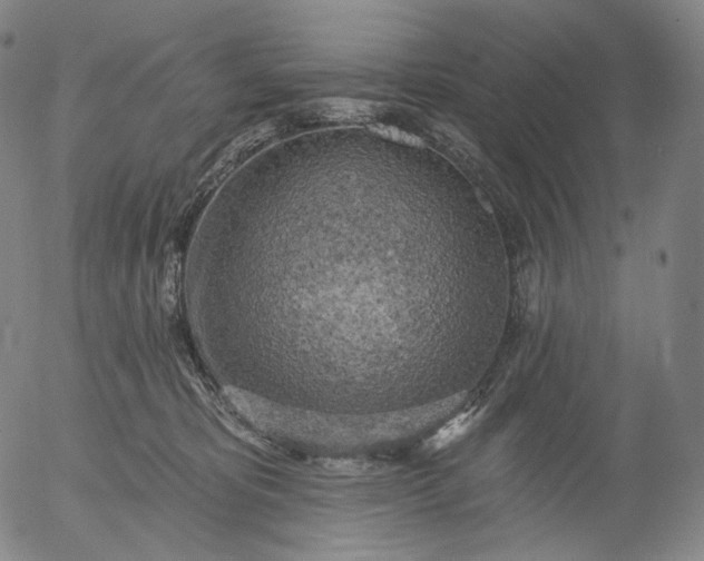 X0000055990325200509021645