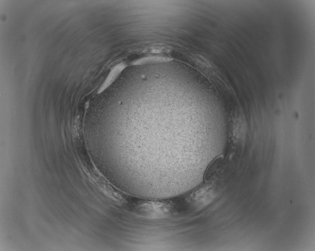 X0000055990326200509021645