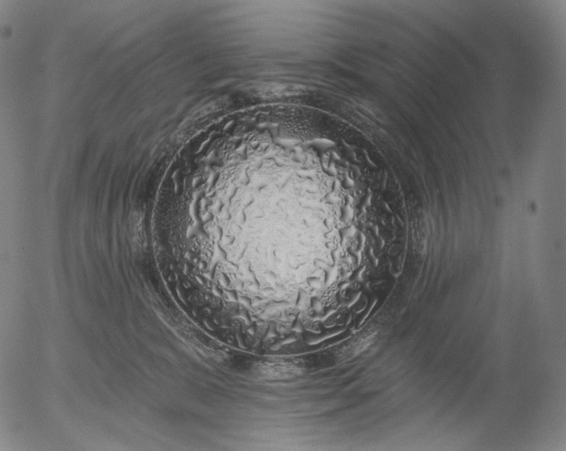 X0000055990327200509021645