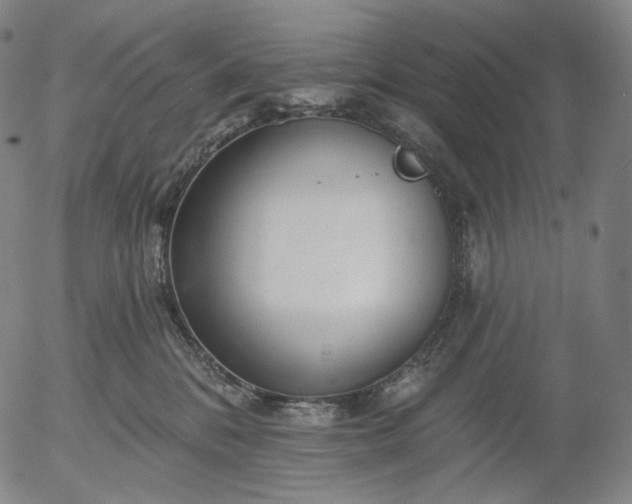 X0000055990328200509021645