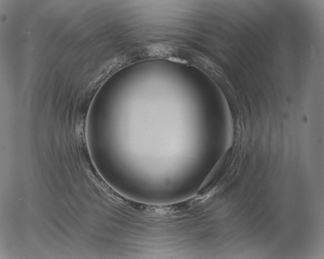 X0000055990329200509021645