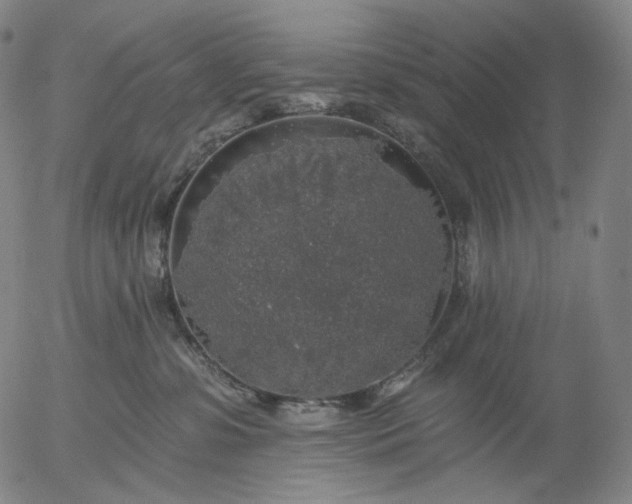 X0000055990331200509021645