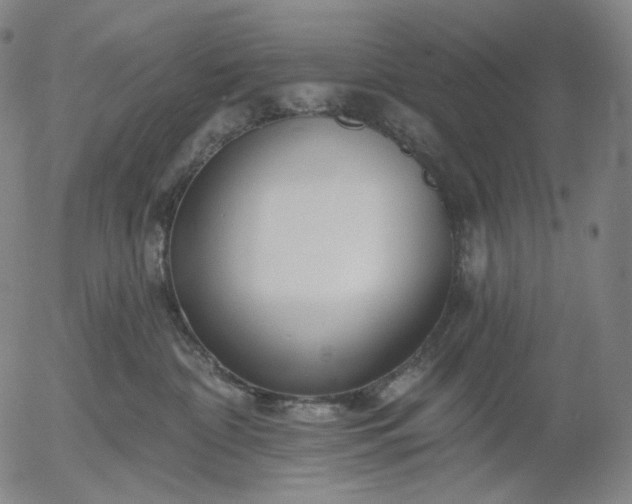 X0000055990332200509021645