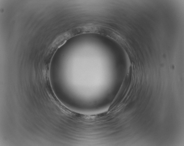 X0000055990333200509021645