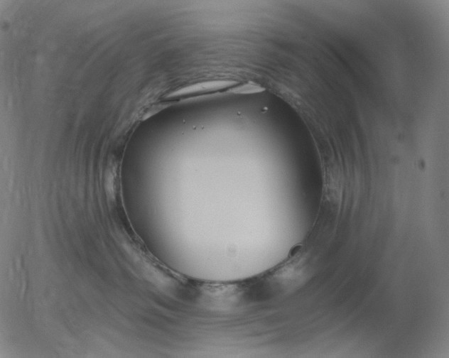 X0000055990334200509021645