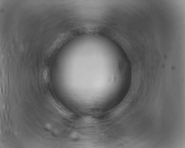 X0000055990336200509021645