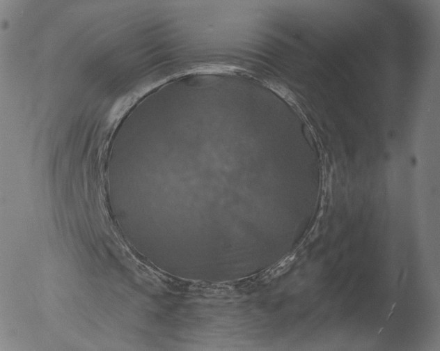 X0000055990337200509021644