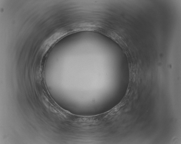 X0000055990338200509021644