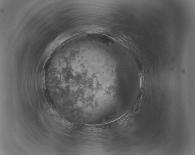 X0000055990339200509021644