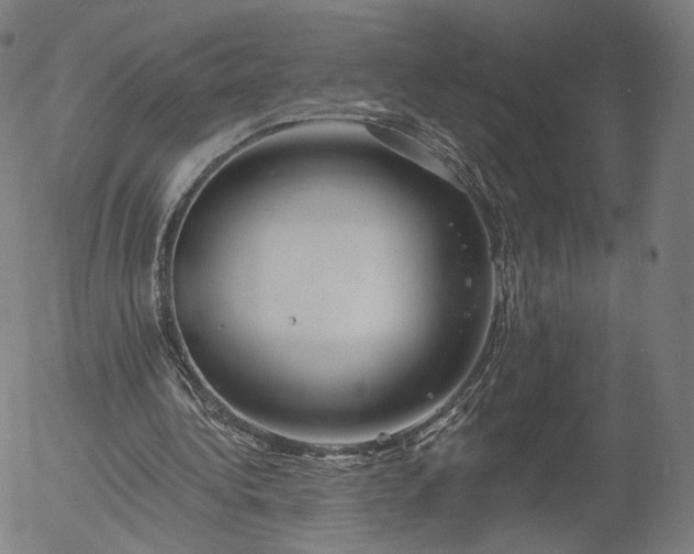 X0000055990340200509021644