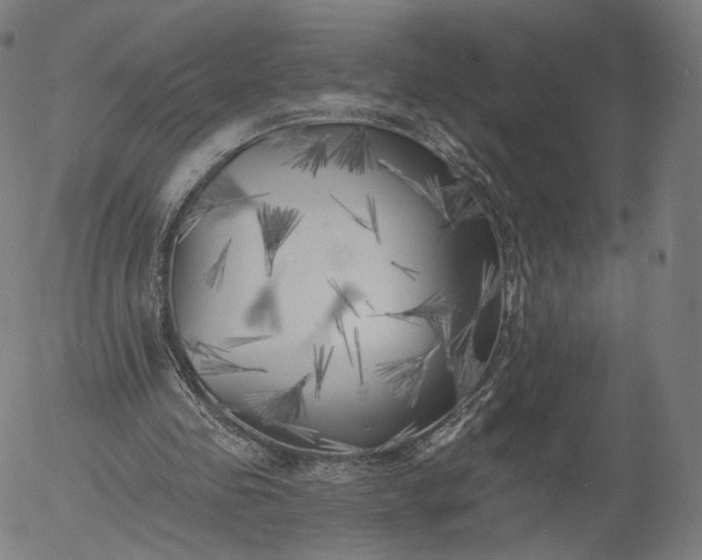 X0000055990341200509021644