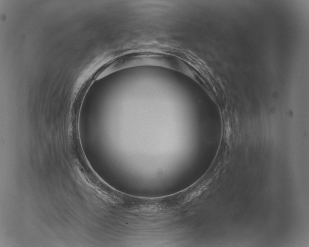 X0000055990344200509021644