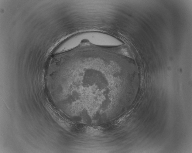 X0000055990346200509021644