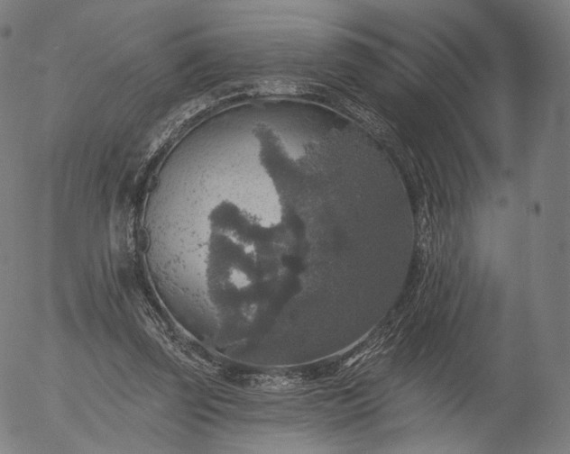 X0000055990347200509021644