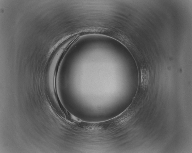 X0000055990348200509021644