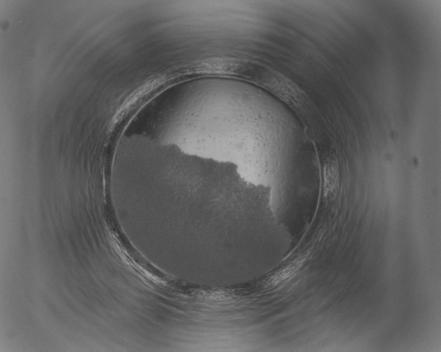 X0000055990349200509021644