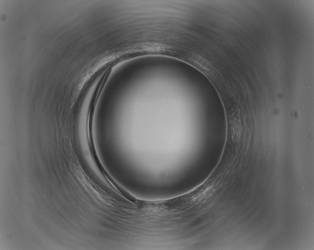 X0000055990350200509021644