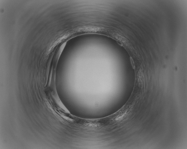 X0000055990352200509021644