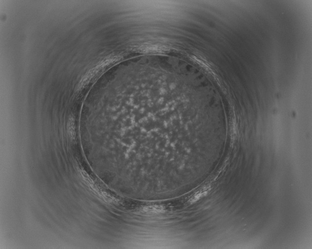 X0000055990353200509021644