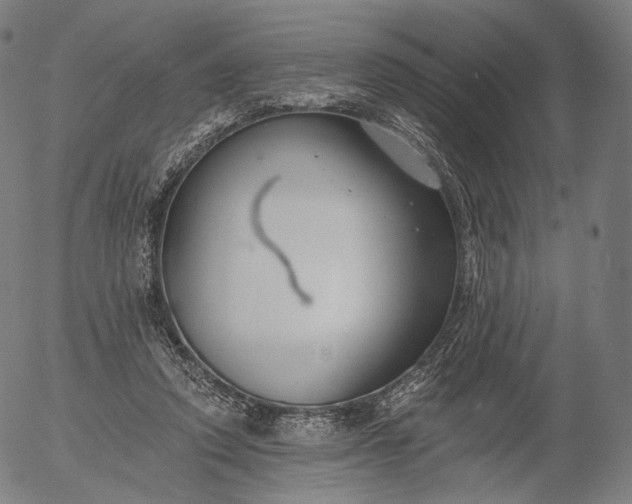 X0000055990354200509021644