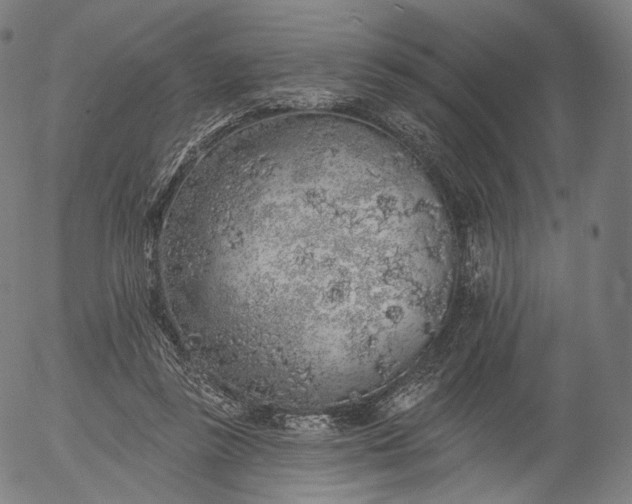 X0000055990355200509021644