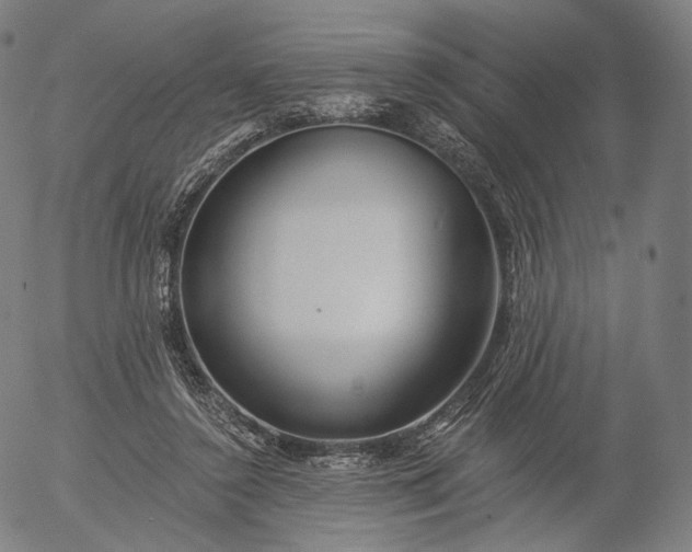 X0000055990356200509021644