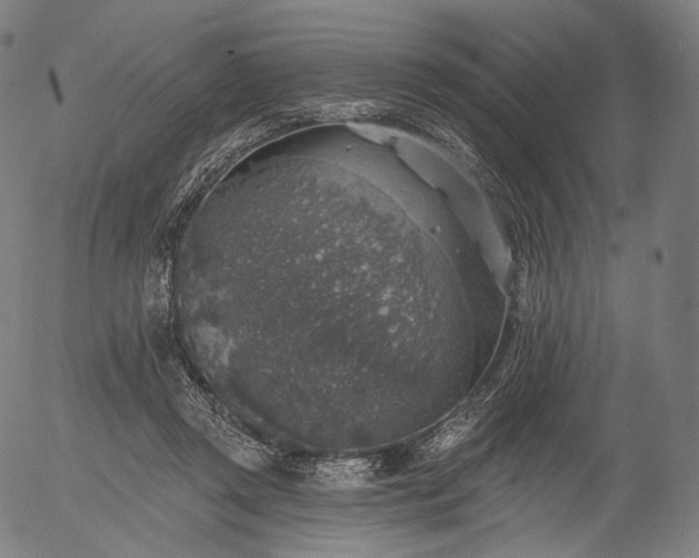 X0000055990357200509021644