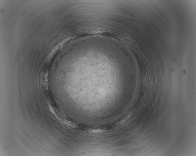 X0000055990360200509021644