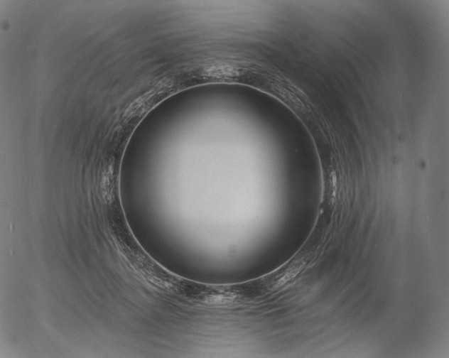 X0000055990364200509021644