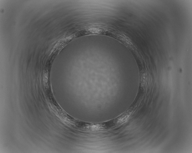 X0000055990365200509021644