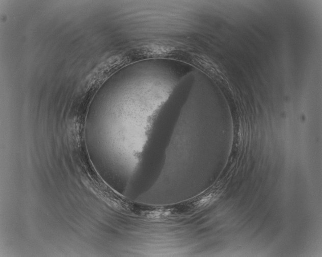 X0000055990366200509021644