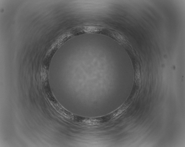 X0000055990367200509021644