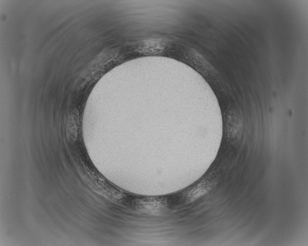 X0000055990370200509021644