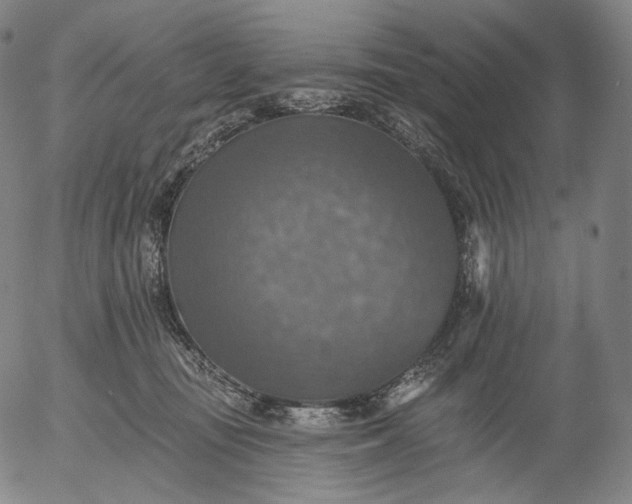 X0000055990371200509021644