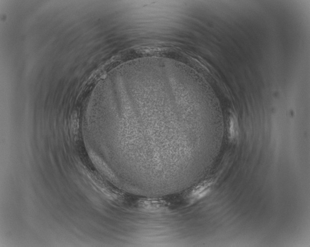 X0000055990372200509021644