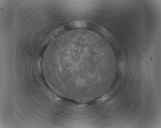 X0000055990373200509021644