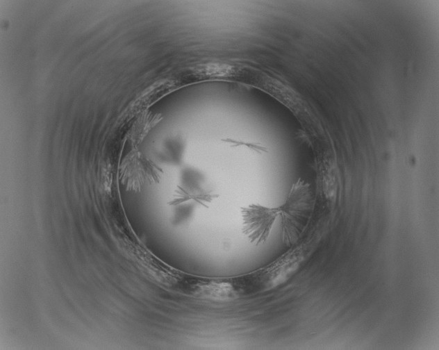 X0000055990374200509021644