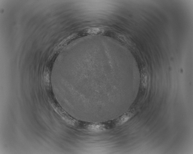 X0000055990375200509021644