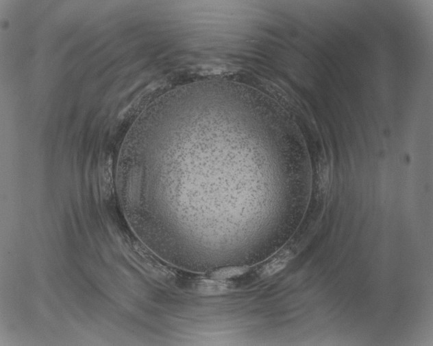 X0000055990376200509021644