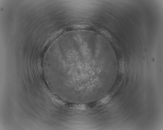 X0000055990377200509021644