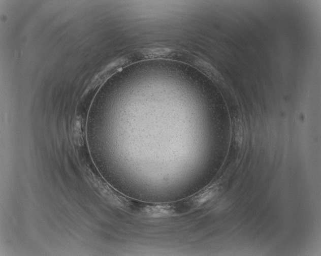 X0000055990378200509021644