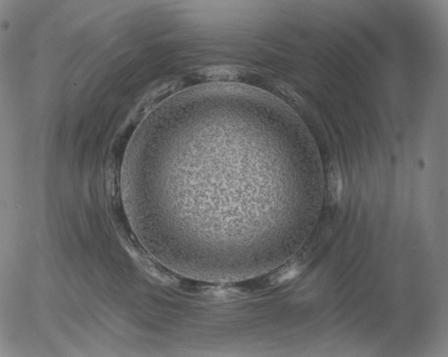 X0000055990379200509021644