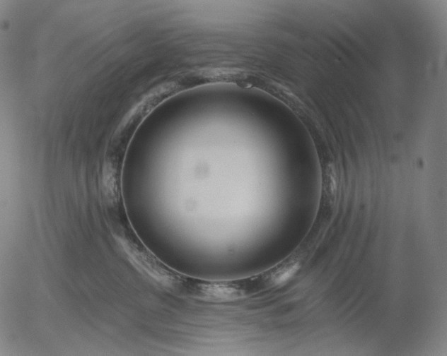 X0000055990380200509021644